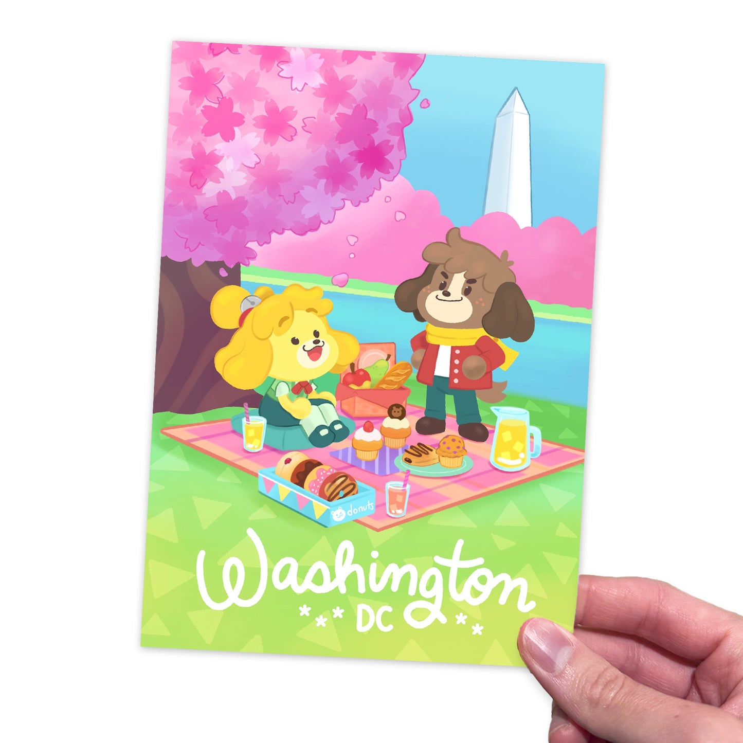 Washington DC Postcard