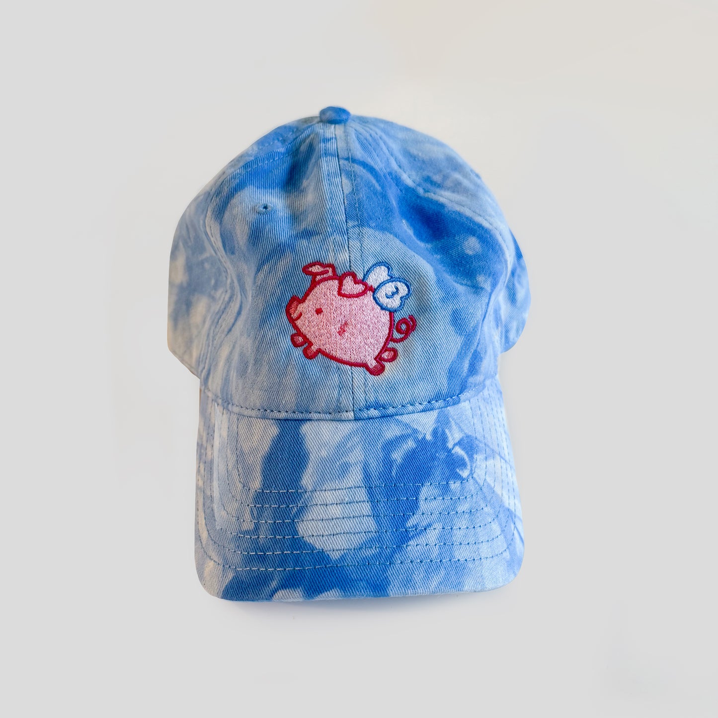 Sky Pig Hat